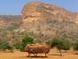 mali-3.jpg