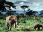 tanzaniya-1.jpg
