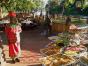 zambiya-4.jpg